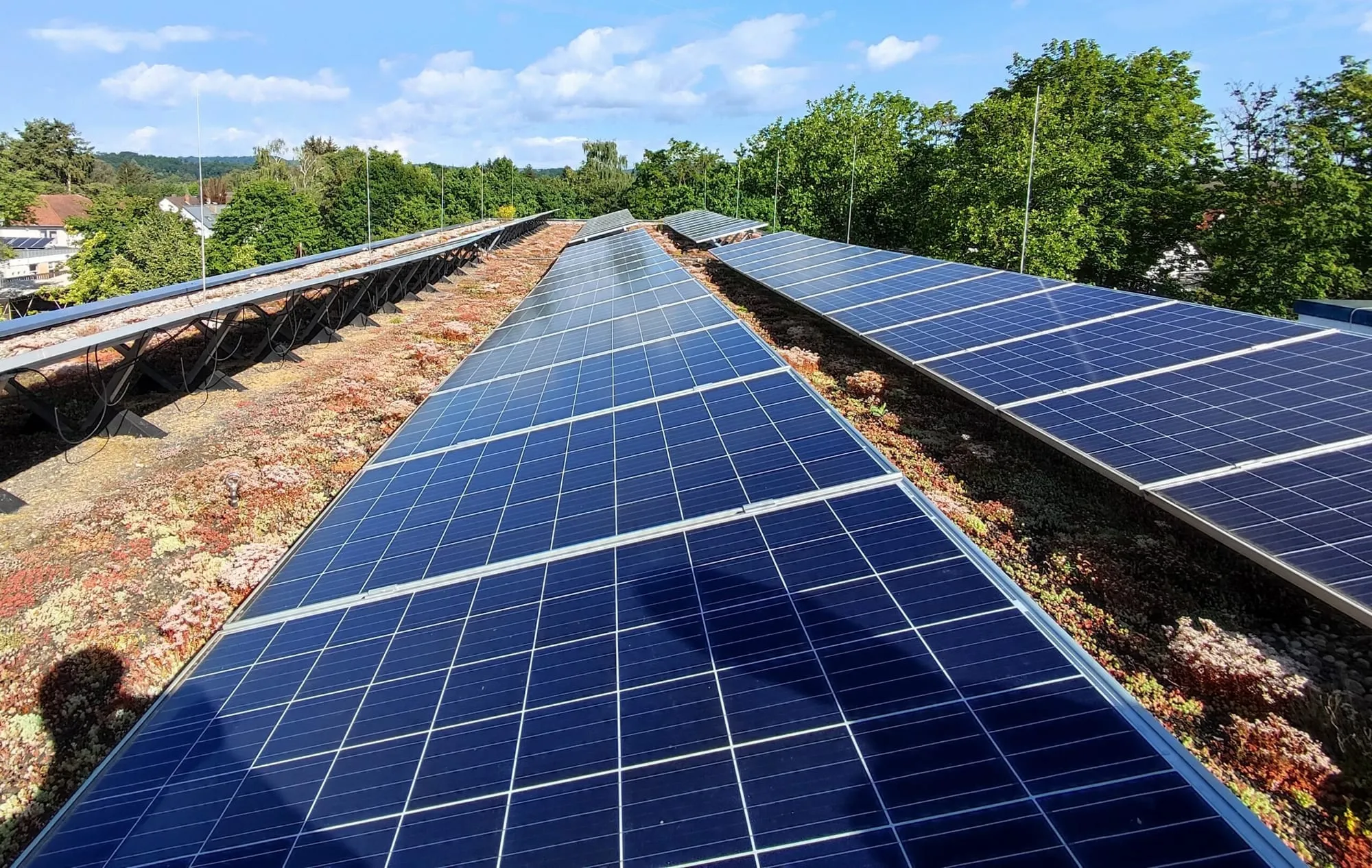 Aufgeständerte PV-Module auf dem begrünten Flachdach einer Grundschule